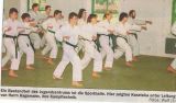 MeyerfabrikDojo 1